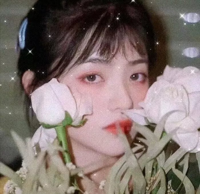 穿越时空的情歌